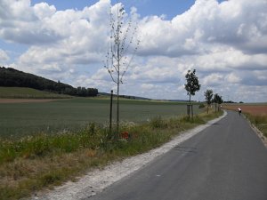 Rhoen-Radmarathon Nichtraucher 457
